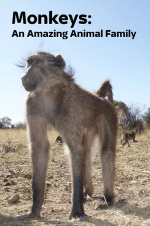 Amazing Monkeys
