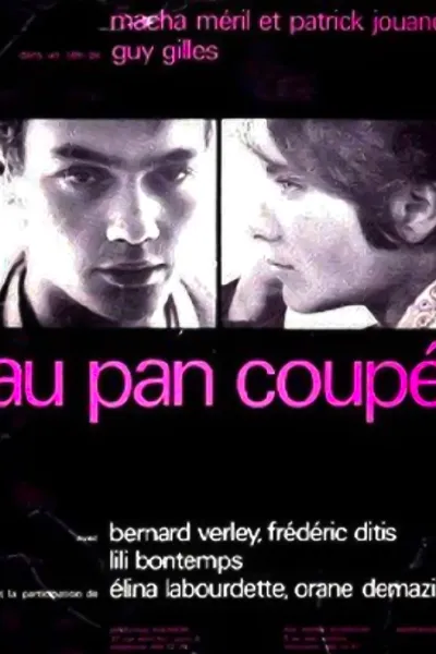 Au pan coupé