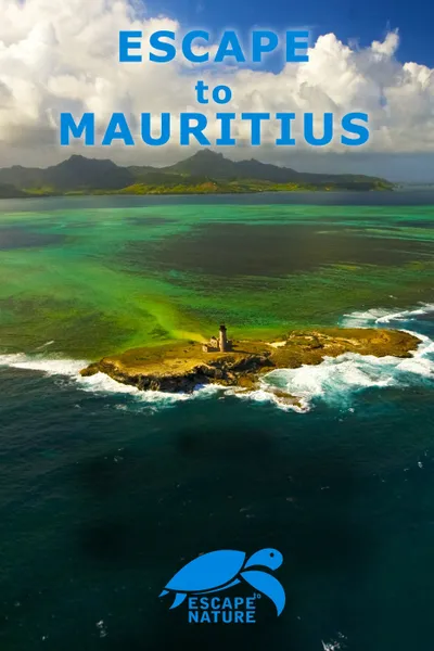 Escape to Mauritius