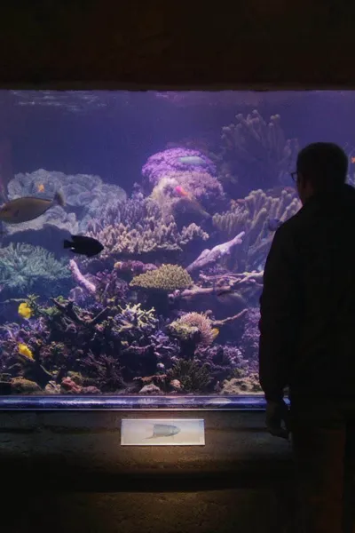 Relaxing Old Footage with Joe Pera