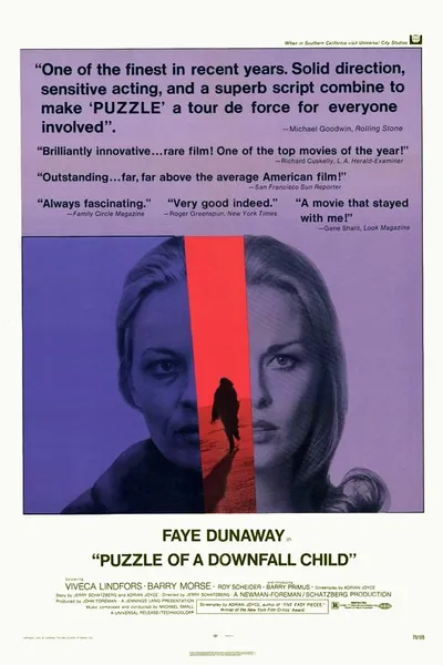 Puzzle of a Downfall Child