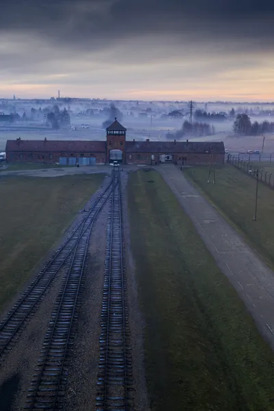 Auschwitz: Countdown to Liberation